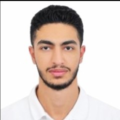 Ahmed Abeideh