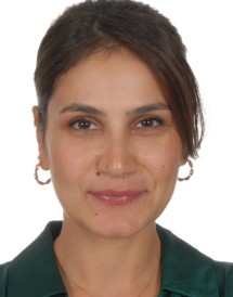NERGIZ ICOGLU