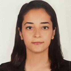 İdil Su Kırıkkayalı
