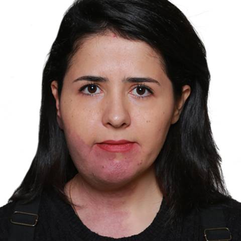 NASIM JALILNEJAD FALIZI