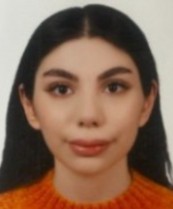 BERIL MIRZA