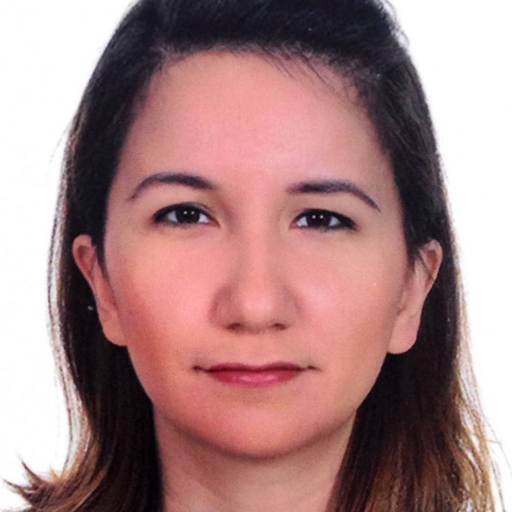 Irem AKTAS