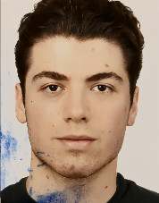 Berkay Dişli