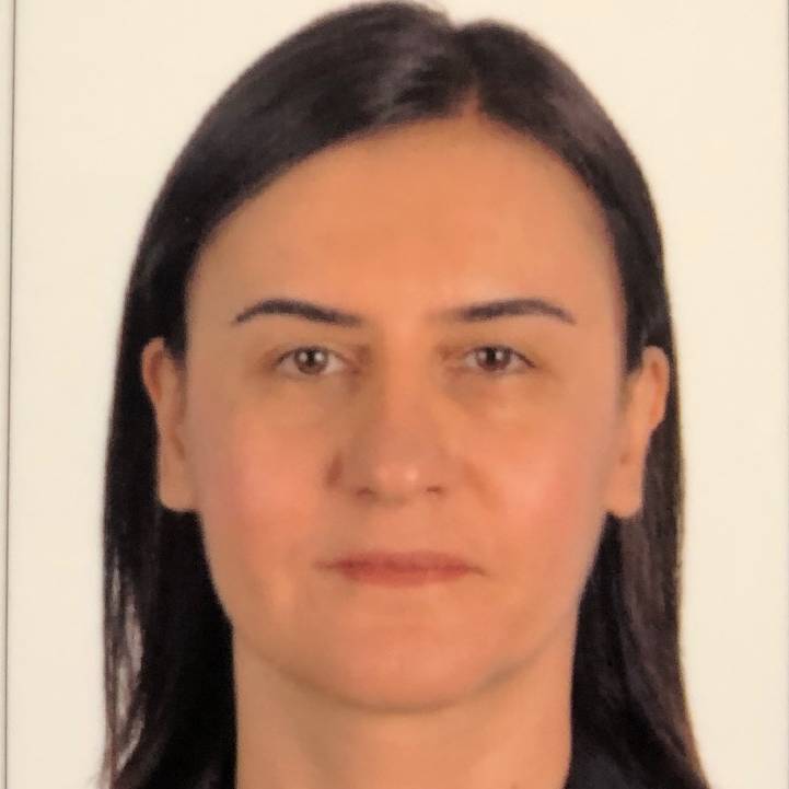 N. Meltem Teymurtaş