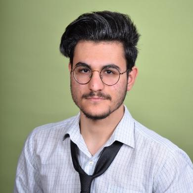 SEYEDALI OWSIA
