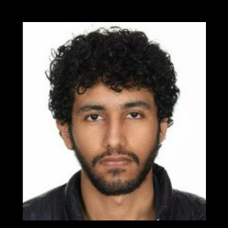 Tareq Salem